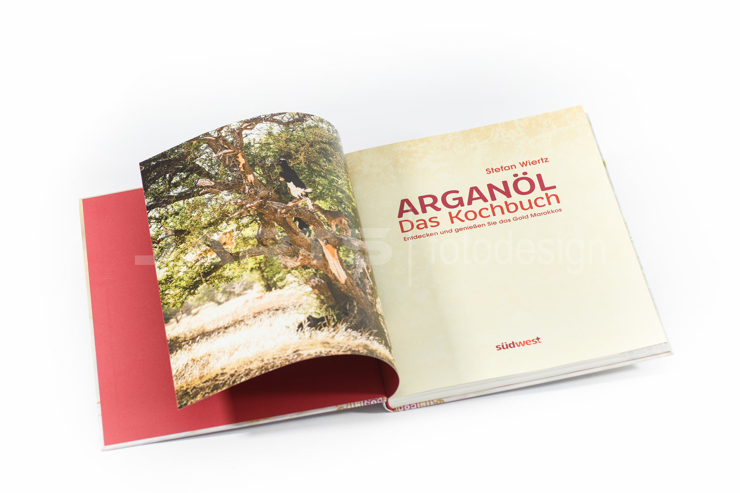 Arganöl-Auszug-01